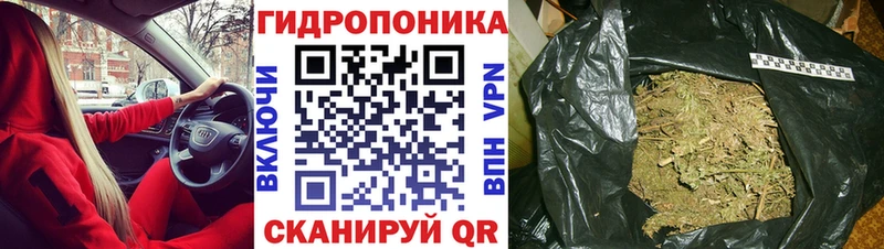 Канабис конопля Калачинск